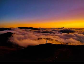 Sandakphu Phalut Trek or Singalila National Park Trek