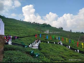 Pelling Ravangla With Rinchenpong (West and South Sikkim)