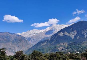 Dharamsala Dalhousie Khajjiar Palampur - Himachal Pradesh
