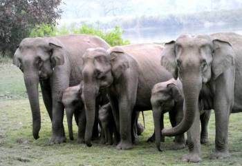 Bhalukpong Tour Packages