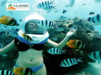 Port Blair - Havelock - Neil Island (Andamans) Tour from Kolkata