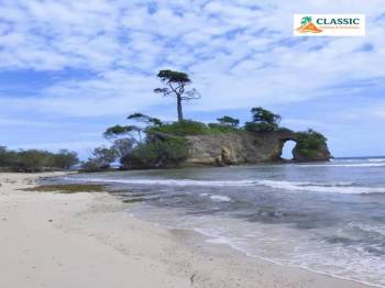 Port Blair - Havelock - Neil Island (Andamans) Tour from Kolkata