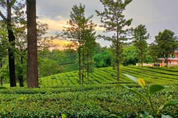 Shimla Manali Dharamshala Dalhousie Amritsar 9 Nights -10 Days Package