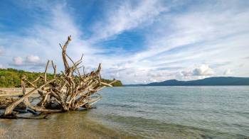 5N - 6D Andaman Package