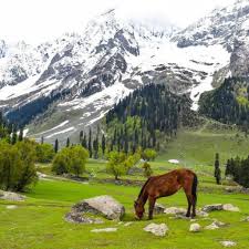 10 Nights - 11 Days Amazing Kashmir Tour