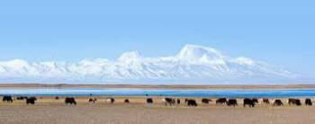 10 Nights - 11 Days Amazing Kashmir Tour