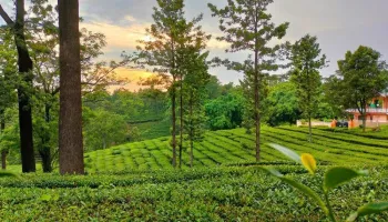 6 Days Amritsar - Dalhousie - Dharamshala Tour