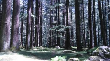 Manali 4 Night 5 Days Package