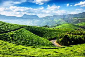 8 Days - 7 Nights Kerala Tour Package