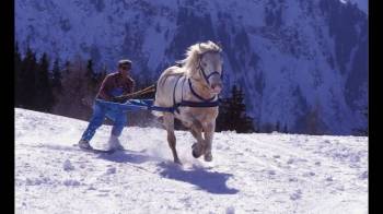 11 Days - 10 Nights Himachal Tour Package