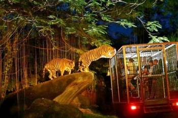 Singapore Tour Package from Trichy - Chennai - Tamilnadu 3 Nights - 4 Days