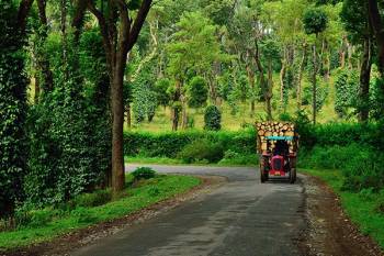 Coorg Tourism 2 Nights - 3 Days