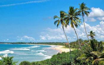 Sri Lanka Tourism 6 Nights - 7 Days