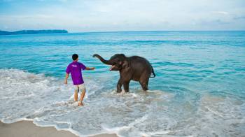 Andaman Tour Itinerary from Trichy - Chennai - Tamilnadu 4 Nights - 5 Days