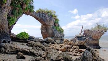 Andaman Tour Package