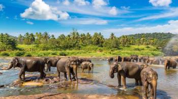 Sri Lanka Tour Package from Trichy - Chennai - Tamilnadu