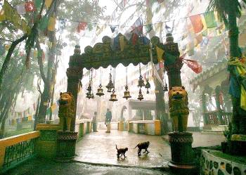 Darjeeling Tour Package from Trichy - Chennai - Tamilnadu