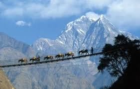 Yumthang Tour Packages