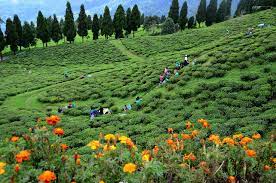 3 Night 4 Days Bagdogra Airport to Gangtok Tour Package