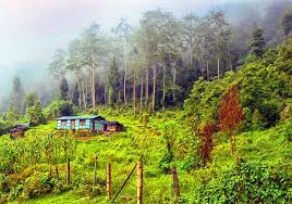 4 Night 5  Days Bagdogra Airport To Silk Route Tour