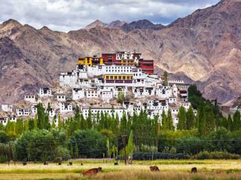 Kargil Tour Packages