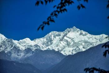 Yumthang Tour Packages