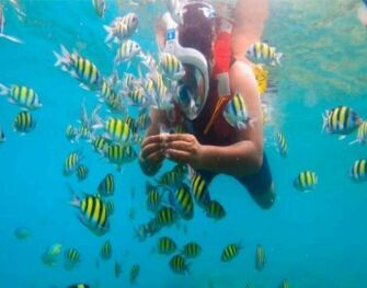 Neil Island Tour Packages