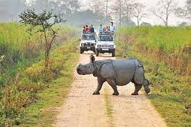 3 Night 4 Day Omar Kaziranga Tour Package