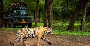 Seoni Tour Packages
