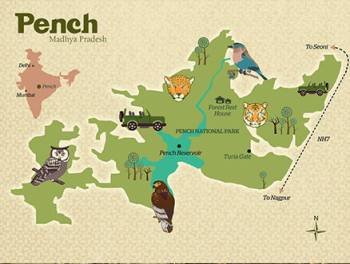 2 Night 3 Days The Land of Mowgli - Pench National Park Tour