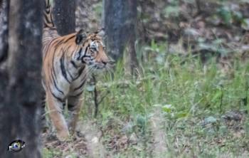 Seoni Tour Packages