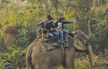 3 Night 4 Day Omar Kaziranga Tour Package