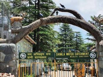 Wildlife sanctuary shimla