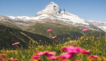 9N - 10D Rajasthan Tour - Hill Stations - Desert - Offbeat