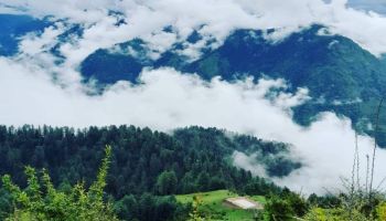 6 Days Shimla Chail Kufri Tour - Himalayan Hills - Heritage Retreat