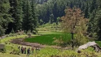 5 Days Rishikesh Mussoorie Tour - Adventure - Waterfalls - Hills