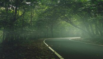 6D Kashmir - Srinagar - Gulmarg - Pahalgam - Sonamarg With Offbeat Spots