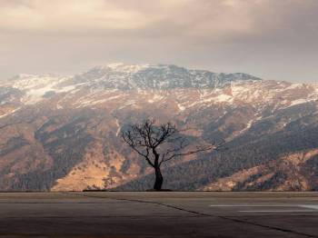 4 Days Manali Tour - Solang Valley - Atal Tunnel - Old Manali Café Walk