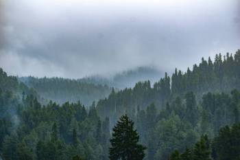 Golden Kashmir Valley Circuit 6 Days Tour