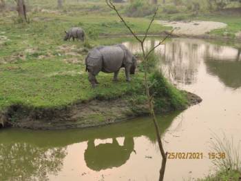 Majuli Island Tour