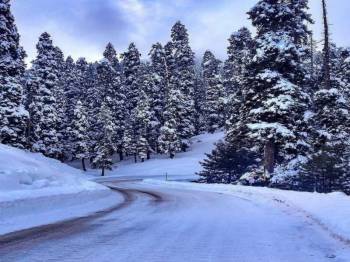 03 Night 04 Days, Chandigarh To Manali Tour Package