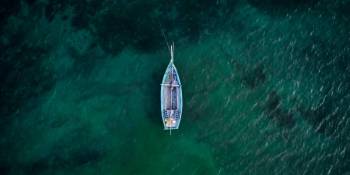 1 Day Mafia (with Whale Shark) from Zanzibar