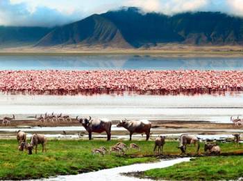 Ngorongoro Tour Packages