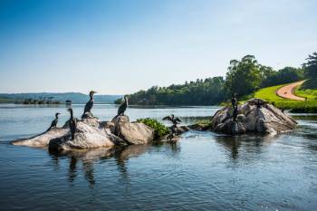 Jinja Source Of The Nile Experience 4 Days Tour