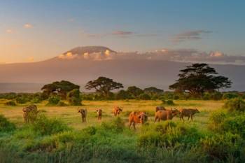 Classic Kenya Safari - 7 Days Tour