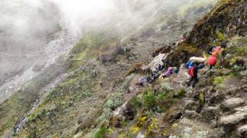 Kilimanjaro Tour Packages