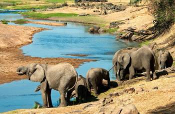 10 Days 9 Nights Southern Tanzania Safari Tour