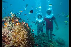 Tour Package Andaman 5 Night 6 Days