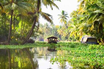 4 Nights - 5 Days Kerala Tour Package - 3