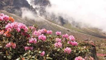 5 Nights 6 Days Gangtok - Lachung Tour - 5